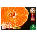 ショッピング甘平 ふるさと納税 果物類 みかん 愛媛県 今治市  数量限定 化粧箱入 ＼超売れ筋商品／ 甘平 4L〜2L 8〜12玉 K002030 ハウス栽培 マルハ果樹園 愛媛県 今治産 国産 …