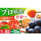 fu.... налог комплект *... Nagasaki префектура - немного человек число . obi предназначенный яйцо имеется овощи комплект ( овощи * фрукты * грибы 8 товар + бренд яйцо 10 шт ) набор постоянный размер Nagasaki префектура |...