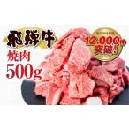 ふるさと納税 牛肉 焼肉・バーベキュー 岐阜県 白川村  12／14までの寄附で年内発送 訳あり 飛騨牛 焼肉用 切り落とし肉 500g 14000円 焼き肉用 焼肉 切り落と…