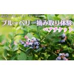 fu.... налог body . билет Chiba префектура ... город голубика .. брать . body . пара билет {30 дней в течение отгрузка предположительно ( суббота, воскресенье и праздничные дни за исключением )}