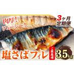 旬の鮮魚等 3ヶ月定期便 ご 塩さばフィレ 3.5kg