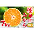 果物類 みかん 訳あり 極早生 愛媛みかん 7.5kg
