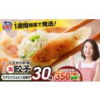 餃子 安心無添加 防腐剤不使用 スタミナ にんにく