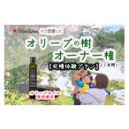 体験チケット オリーブオーナー 収穫体験プラン