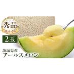 ふるさと納税 メロン メロン青肉 茨城県 牛久市 先行予約 茨城県産 アールスメロン 秀品 3L サイズ × 2玉 入り おすすめ JA全農いばらき JA メロン めろん …