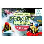 体験チケット リバージョイ アクティビティ利用補助券