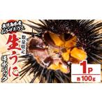 ふるさと納税 ウニ 鹿児島県 阿久根市  先行予約受付中 2026年4月上旬以降順次発送予定 平日着 生うに(ムラサキウニ)海水パックセット(100g×1P) 国産 鹿児島…