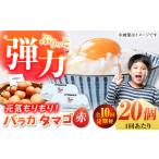 卵 鶏 烏骨鶏等 全10回定期便 BOX バラカタマゴ 20個入