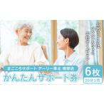 体験チケット かんたんサポート券 20分1枚