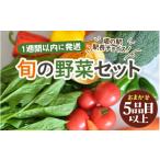fu.... налог комплект *... Fukui префектура ... город 1 недель в течение . отправка дорожная станция станция длина cho стул .. овощи комплект 5 товар и больше | сезон овощи box BOX комплект select...