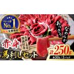 ふるさと納税 馬肉 熊本県 山鹿市 国産 赤身馬刺しセット 250g 国産 馬刺し 約50g×5パック 熊本 ばさし バサシ 馬刺 あっさり 冷凍 パック 小分け おつまみ …