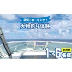 体験チケット 貸切トローリング 大物釣り体験