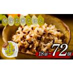 ふるさと納税 玄米 大阪府 松原市 発芽玄米 ごはんパック 160g 18個 発芽 玄米 米 ごはん ご飯 こめ パックライス パックご飯 パックごはん ご飯パック パック…
