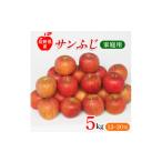 ふるさと納税 りんご 長野県 中野市 長野県産 サンふじ りんご 家庭用 訳あり 5kg(12〜20玉) 1360194