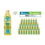 ふるさと納税 お茶類 