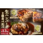 肉 ハンバーグ 生ハンバーグ 2種