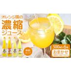 オレンジ園の濃縮ジュース タンカン 500ml