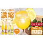 オレンジ園の濃縮ジュース 500ml