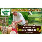 シーズンパス 回数券 里山ドッグランサム
