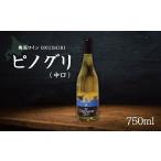 ふるさと納税 ワイン 白ワイン 北海道 奥尻町 「奥尻ワイン」ピノグリ(中口) ふるさと納税 人気 おすすめ ランキング ワイン 奥尻ワイン OKUSHIRI 白ワイン …