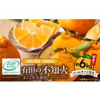 ふるさと納税 みかん・柑橘類 和歌山県 湯浅町 ZE6015n_有田の不知火(しらぬひ) 訳あり　家庭用 　6kg (S〜4Lサイズ混合)まごころ手選別