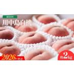 ふるさと納税 もも 福�