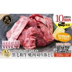ふるさと納税 牛肉 焼肉・バーベキュー 鹿児島県 南さつま市 最短発送 鹿児島県産 A5等級 黒毛和牛 焼肉 切り落とし 計1.25kg(250g×5P) 数量限定・期間限…