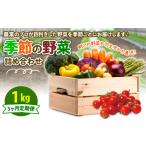 セット 詰合せ 定期便 季節 野菜 詰め合わせ 1kg