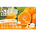 果物類 みかん みかん定期便 全6回 温州みかん4回+みかんジ…