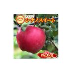 ふるさと納税 りんご 長野県 南箕輪村 もぎたて『シナノスイート』りんご 約5kg 1053404