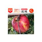 ふるさと納税 りんご 長野県 南箕輪村 2025年 信州のりんご 秋映 訳あり 約5kg 家庭用_ りんご リンゴ 秋映 訳あり あきばえ 林檎 約5kg 長野 長野県 信州 …