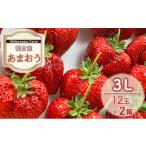 ふるさと納税 いちご 福岡県 朝倉市 いちご 朝倉市産 あまおう 3L 12玉×2箱 イチゴ 苺 果物 デザート Shibayama Farm 配送不可:離島