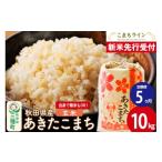 新米 あきたこまち 一等米 10kg