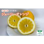 ふるさと納税 みかん�