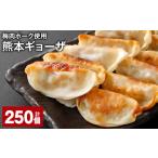 餃子 上 R8年熊本地震復興支援 梅肉ポーク使用
