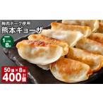 餃子 上 R8年熊本地震復興支援 1ヶ月毎8回定期便