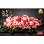 牛肉 ヒレ 定期便3回 佐賀牛 シャトーブリアンステーキ