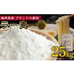 麺類 ラー麦一番 25kg