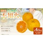 みかん 柑橘類 大岩農園の不知火 約4.5kg