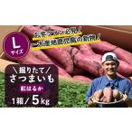 熟成 さつまいも 紅はるか 5kg