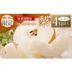 ふるさと納税 梨 宮崎県 新富町 期間・数量限定 稲妻果樹園の『梨』4kg以上(幸水・あきづき・秀玉のいずれか)宮崎県新富町産 B507-2025