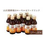 健康食品 ローヤルゼリードリンク 100ml×10本
