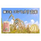 ふるさと納税 玄米 茨城県 石岡市  令和7年産 獅子米 コシヒカリ 玄米 30kg （精米可）　岡田ファーム コンテスト受賞米 お米 米 おこめ ブランド米 こしひか…
