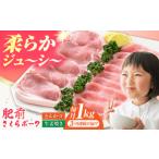 豚肉 ロース 全3回定期便 肥前さくらポーク 詰め合わせ
