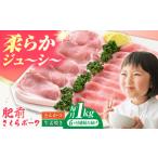 豚肉 ロース 全6回定期便 肥前さくらポーク