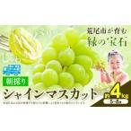 ふるさと納税 ぶどう マスカット 熊本県 荒尾市 先行予約 マスカット シャインマスカット 朝採り シャインマスカット 約4kg 5〜8房 前田果樹園《8月下旬-9月…