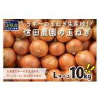 ふるさと納税 野菜類 玉ねぎ 北海道 北見市 2025年12月中お届け 日本一の玉ねぎ生産地 信田農園の玉ねぎ 10kg Lサイズ ( 信田農園 野菜 玉ねぎ 玉葱 たまねぎ…
