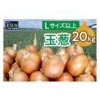 ふるさと納税 野菜類 玉ねぎ 北海道 北見市 2026年1月中お届け 玉葱 20kg Lサイズ以上 ( 玉ねぎ たまねぎ 野菜 20キロ 期間限定 ふるさと納税 玉ねぎ生産量日…