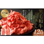 牛肉 令和8年度熊本地震復興支援 くまもと