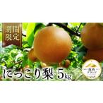 ふるさと納税 梨 茨城県 筑西市 JA 北つくば 筑西ブランド 認証品 にっこり 5kg 2025年産 先行予約 梨 果物 フルーツ なし ナシ 和梨 AE030ci